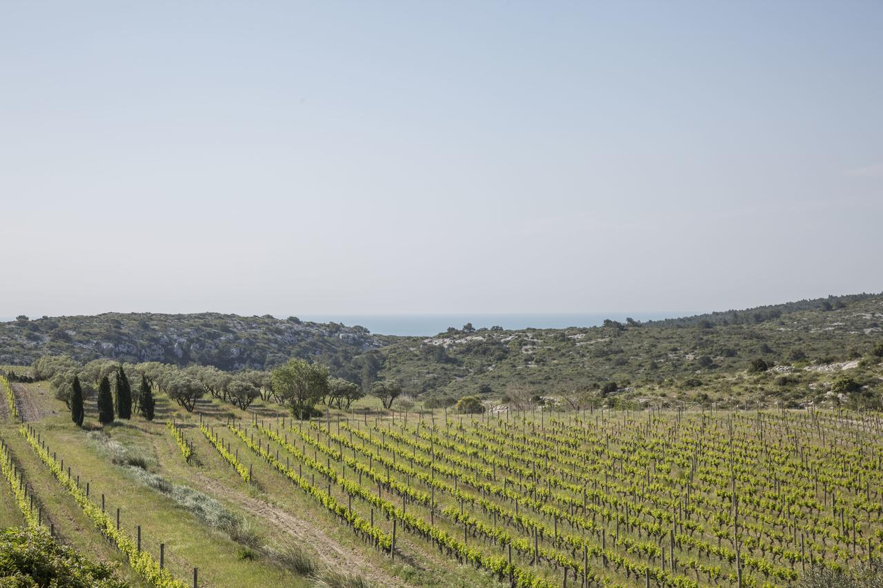 Mas Du Soleilla Vendégház Narbonne Kültér fotó